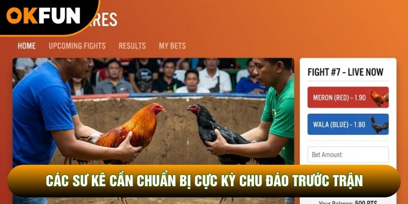 Các sư kê cần chuẩn bị cực kỳ chu đáo trước trận Các sư kê cần chuẩn bị cực kỳ chu đáo trước trận
