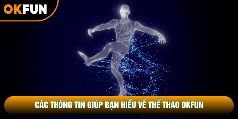 Các thông tin giúp bạn hiểu về thể thao OKFUN Các thông tin giúp bạn hiểu về thể thao OKFUN