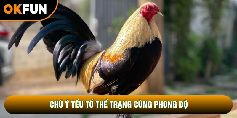 Chú ý yếu tố thể trạng cùng phong độ Chú ý yếu tố thể trạng cùng phong độ