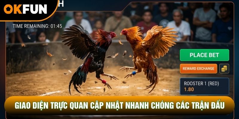 Giao diện trực quan cập nhật nhanh chóng các trận đấu Giao diện trực quan cập nhật nhanh chóng các trận đấu