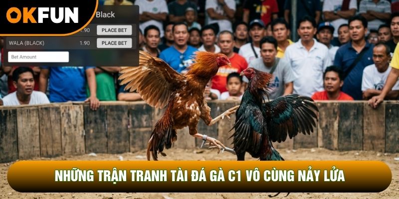 Những trận tranh tài đá gà c1 vô cùng nảy lửa Những trận tranh tài đá gà c1 vô cùng nảy lửa