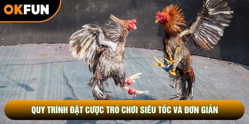 Quy trình đặt cược trò chơi siêu tốc và đơn giản