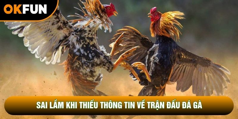 Sai lầm khi thiếu thông tin về trận đấu đá gà