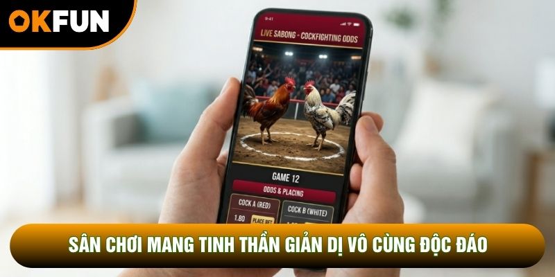 Sân chơi mang tinh thần giản dị vô cùng độc đáo Sân chơi mang tinh thần giản dị vô cùng độc đáo
