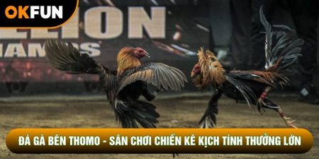 Đá Gà Bên Thomo - Sân Chơi Chiến Kê Kịch Tính Thưởng Lớn