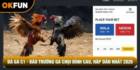 Đá Gà C1 - Đấu Trường Gà Chọi Đỉnh Cao, Hấp Dẫn Nhất 2026
