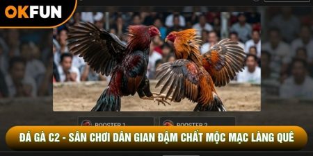 Đá Gà C2 - Sân Chơi Dân Gian Đậm Chất Mộc Mạc Làng Quê